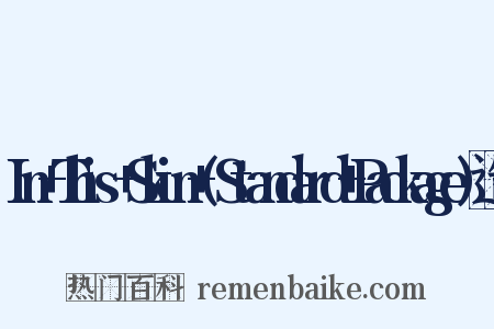 In+This+Skin+(Standard+Package)造句是什么意思的图片